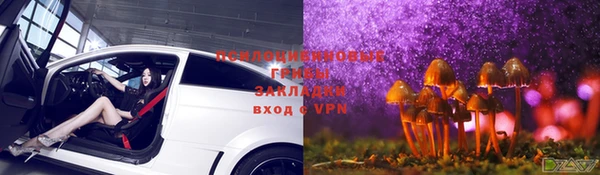 гидра Алексеевка