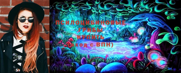 гидра Алексеевка