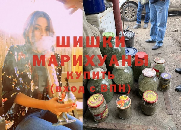 гидра Алексеевка