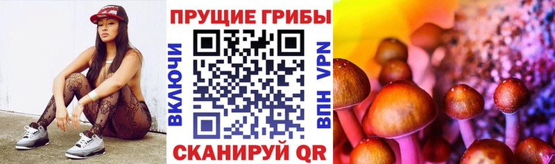 Псилоцибиновые грибы Magic Shrooms Усть-Лабинск